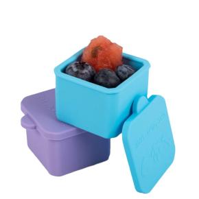 Silicone Baby Food Storage Containers Set - Heat-Resistant Toddler Dinnerware